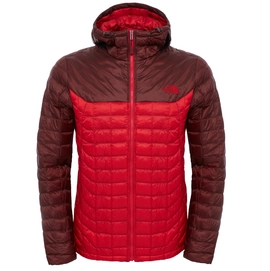Winterjacke The North Face Thermoball Hoodie TNF Sequoiard Rot Herren