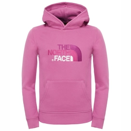 Hoodie The North Face Youth Drew Peak Wisteria Purple