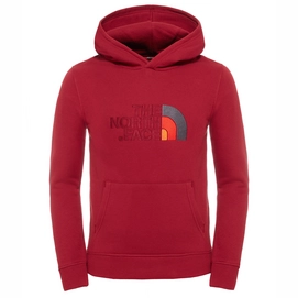 Hoodie The North Face Youth Drew Peak Biking Red
