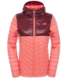 Winterjacke The North Face Womens Thermoball Plus Hoodie Spiced Koralle Damen