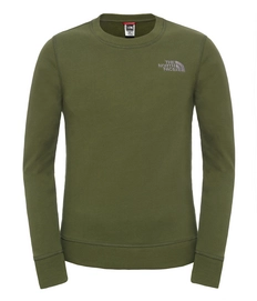 Pullover The Noth Face Youth Drew Peak Crew Terrarium Grün Kinder