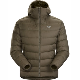 Jacke Arc'teryx Thorium AR Hoody Dracaena Herren