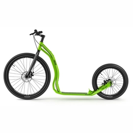 Step Yedoo Trexx Disc Green
