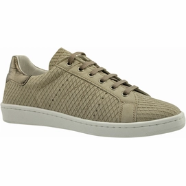 Trainers JJ Footwear Vancouver Taupe Cdifucile G