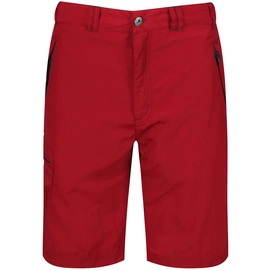 Korte Broek Regatta Men Leesville Short Delhi Red