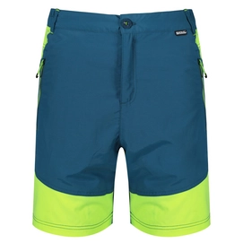 Korte Broek Regatta Men Sungari Shorts Sea Blue LimePc
