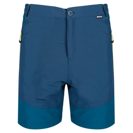 Kurze Hose Regatta Sungari Shorts Men Majoli Sea Blue