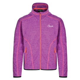 Fleecejacke Dare2B Entreat II Fleece Ultra Violet Purple Kinder