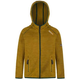 Vest Regatta Dissolver Antique Moss