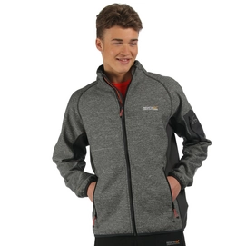 Veste Softshell Regatta Farway Hybrid Seal Grey