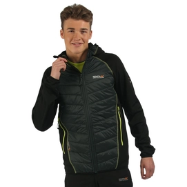 Jacket Regatta Andreson II Hybrid Dark Spruce