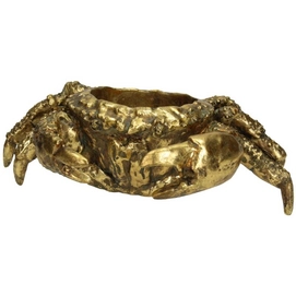 Bloempot HD Living Crab Gold 18 x 28,2 x 9,8 cm