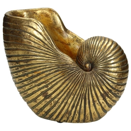 Bloempot HD Living Shell Gold 13 x 24,8 x 19 cm