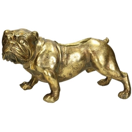 Bloempot HD Living Dog Gold 17 x 36,8 x 20,3 cm