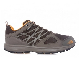 Wandelschoen The North Face Litewave GTX Bruin