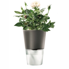 Pot de Fleurs Eva Solo Bloempot avec Système d'Arrosage Dark Grey 11 cm