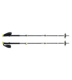 Ski Poles Black Diamond Expedition 3 2015