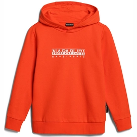 Jumper Napapijri Kids B-Box Hood 1 Red Cherry