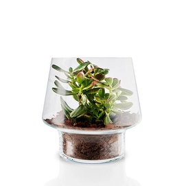 Vase à Succulents Eva Solo Transparent 21 cm
