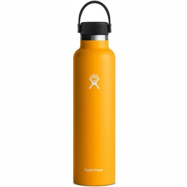 Bouteille Isotherme Hydro Flask Standard Flex Cap Starfish 709 ml