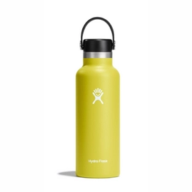 Thermosfles Hydro Flask Standard Flex Cap Cactus 532 ml