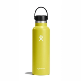 Thermosfles Hydro Flask Standard Flex Cap Cactus 621 ml
