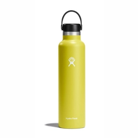 Thermosfles Hydro Flask Standard Flex Cap Cactus 709 ml
