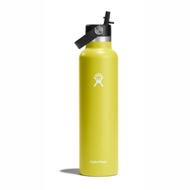 Thermosfles Hydro Flask Standard Flex Straw Cap Cactus 621 ml