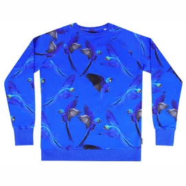 Pull SNURK Enfant Blue Parrot