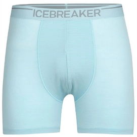 Sous-vêtement Icebreaker Men Anatomica Boxers Haze-XL