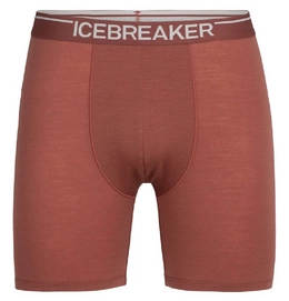 Boxershort Icebreaker Men Anatomica Long Boxers Grape