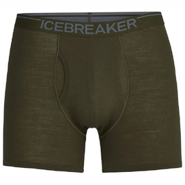 Sous-vêtement Icebreaker Men Anatomica Boxers wFly Loden-XL