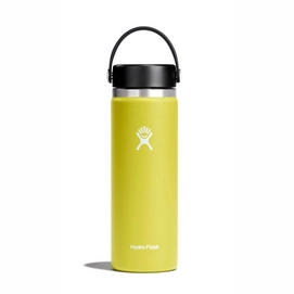 Thermosfles Hydro Flask Wide Flex Cap Cactus 591 ml