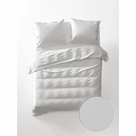 1---yellow_velvet_touch_optic_white_mapping_2_pillows_glass_2