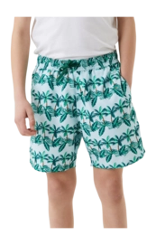 Swimming Shorts Bjorn Borg Boys Print Swim Shorts Palmy