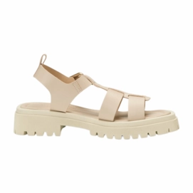 Marc O'Polo Women 30317971102109 Soft Taupe