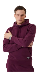 Jumper Bjorn Borg Centre Hoodie Grape Wine