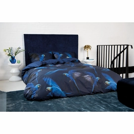 1---Blue_Parrot_2persoons_rgb-4022