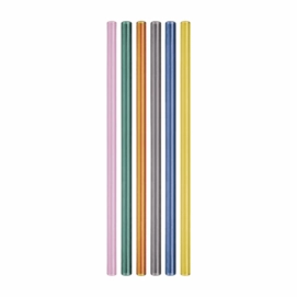 Rietjes Remember Glas (Set van 6)