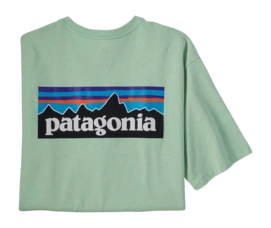 T-Shirt Patagonia Men P-6 Logo Responsibili-Tee Tea Green-S