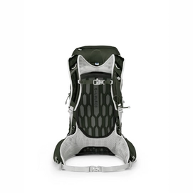 Rugzak Osprey Talon 33 Yerba Green (S/M)