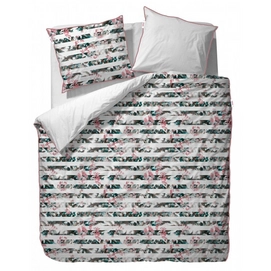 Taies d'oreiller Esprit Maci Multi Satin de Coton (65 x 65 cm)
