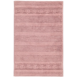 Serviette Invité Cawö Noblesse Uni Magnolia (Set de 6)