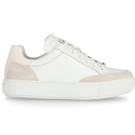 Sneaker Shabbies Amsterdam 101020234 Suede Soft Nappa White Offwhite Damen