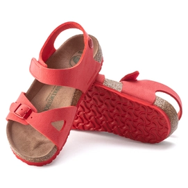 1023364_sole