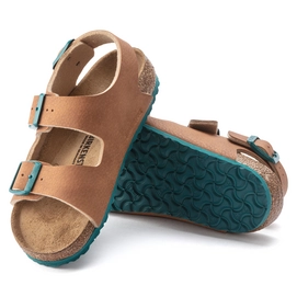 1023377_sole