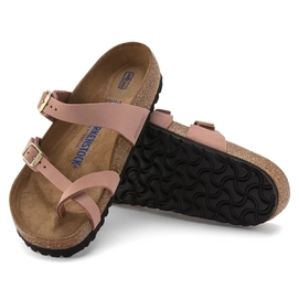 1023964_sole