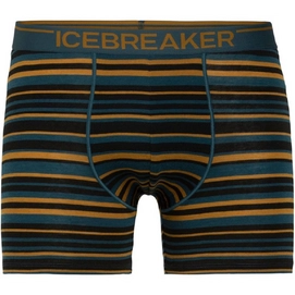 Boxershort Icebreaker Men Anatomica Boxers Curry