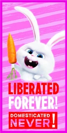 Strandlaken The Secret Life of Pets Liberated