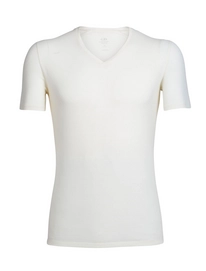 Funktionsunterhemd Icebreaker Anatomica SS V Snow Herren